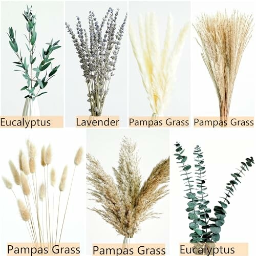 Assorted dried plants including eucalyptus, lavender, and pampas grass.